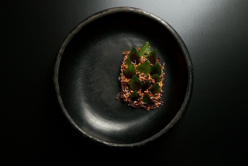 El Baqueano-dish_LATAM50BR23_LIP